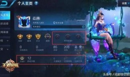 王者太阳爆料视频大全最新,揭秘游戏幕后精彩瞬间